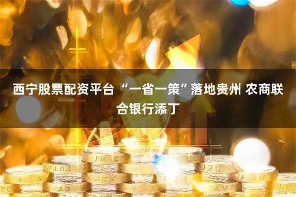 西宁股票配资平台 “一省一策”落地贵州 农商联合银行添丁